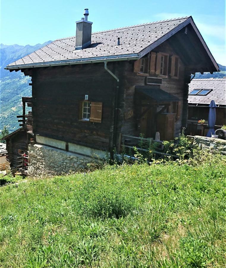 Chalet "Chez Claudine Et Charles" Mase Zewnętrze zdjęcie